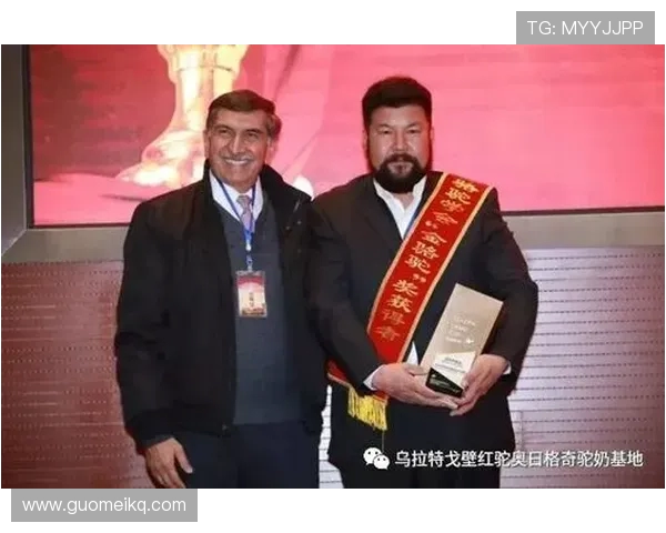 乌拉瓦对阵俄罗斯精彩直播全程回顾与赛后分析